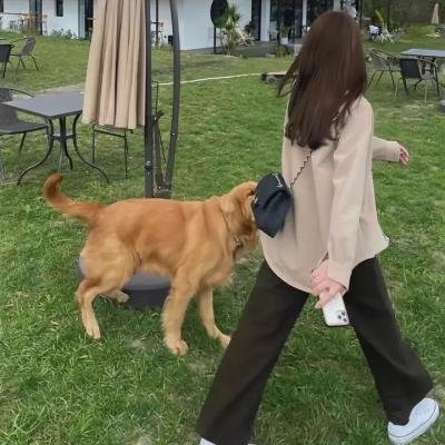 爸爸,小船